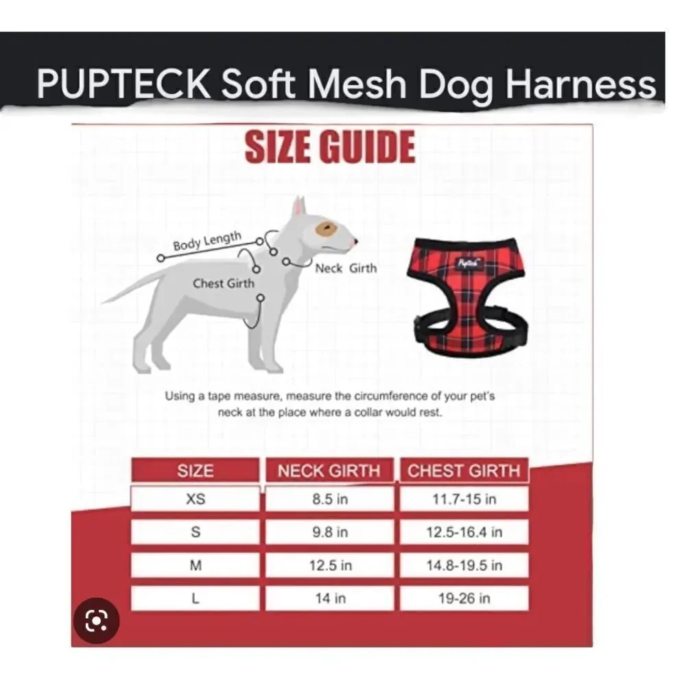 NWT Dog Harness & Lead